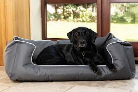 Read our complete guide about the best dog beds for large dogs. Walksters Ultimate Memory Foam Grey Waterproof Dog Bed