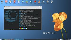 Image result for metisse mandriva