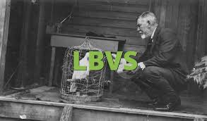 Lbvs What Does Lbvs Mean Slang Org