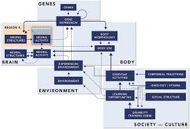 Dynamics Of Culture Mind And Brain Part I Culture Mind And Brain Which of the following does not constitute spillage? dynamics of culture mind and brain