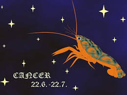 Ex revenge pics by jilted lovers are the stuff of online voyeurs…and all of us have seen a fair share of them. How Does Each Zodiac Sign Take Revenge Boldsky Com