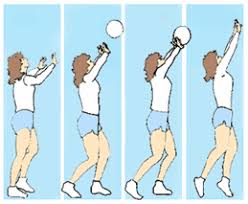 Check spelling or type a new query. Posiciones Basicas Para Pasar Y Recibir Voleibol Posicion Basica Del Voleibol Funciones Y Todo Lo Que Necesita Enterarse