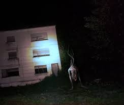 Do you want (they / stay) at the hotel? Trevor Henderson On Twitter It Watched Us Go It Had No Eyes No Head But I Know It Was Watching As We Ran