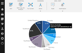 Using A Pie Chart Data Visualizations Documentation