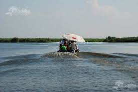 Plimbare cu vaporul 3 ore, 5. Organizam Plimbari Cu Barca In Delta Dunarii