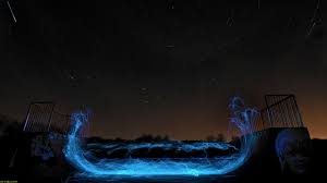 Dark Images 1920x1080 Pixelstalk Net Fox, trees, fantasy art, dreamland, forest, sky, dark forest.