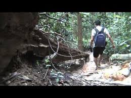 Ayer hitam forest reserve is a 1248 hectares forest reserve managed by universiti putra malaysia located in puchong petaling selangor malaysia the forest. Ayer Hitam Forest Reserve Puchong Destimap Destinations On Map