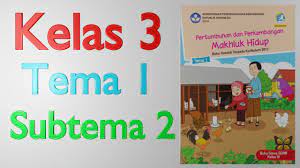 Berikut ini kunci jawaban untuk soal latihan uts mata pelajaran pkn yang terdiri dari 40 pilihan dan 25 isian untuk kalian yang masih duduk di kelas 3 semester 1. Kelas 3 Tema 1 Subtema 2 Latihan Soal Youtube
