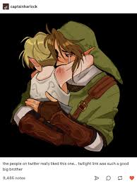 Pin On Legend Of Lonk