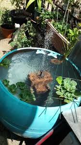 Make sure the plastic barrel is clean and free of toxins barrels can be made of steel, plastic, or vestil fiber, but 55 gallon plastic barrels will be the cheapest out of all of them. Completely Recycled Plastic Drum Fish Pond With Solar Water Pump And Water Feature Solar Fountain Indoor Water Garden Diy Solar Fountain