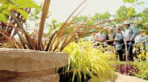 Garden Design Manchester Garden Design Creation And Advice