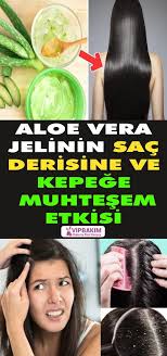 Aloe Vera Jelinin Saca Faydalari Pembe Fikirler Aloe Beslenme Sac