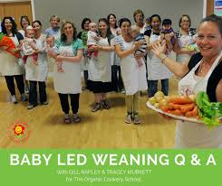 Participate in family meals right from the start. Baby Led Weaning Q A With Gill Rapley And Tracey Murkett The Organic Cookery School