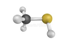 Image result for Methanethiol