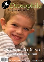 Número 23 de Boletín Drosophila by BioScripts