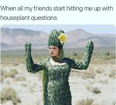 Twenty Nine Plant Memes For Lovers Of Botany Plant Jokes Memes Plant Lady