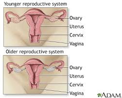 Pms stands for premenstrual syndrome. Menopause Medlineplus Medical Encyclopedia