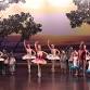 Ballet Vero Beach Presents: Nutcracker on the event image