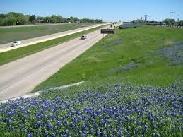 Maybe you would like to learn more about one of these? Photo Gallery Cedar Hill Civicengage