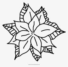 Check spelling or type a new query. Coloring Page Png Download Transparent Coloring Page Png Images For Free Page 11 Nicepng