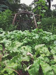 Permakultur Fur Anfanger So Erleichterst Du Dir Den Einstieg In 2020 Permakultur Garten Ideen Hinterhof Pflanzplan