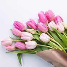 Check spelling or type a new query. Last Minute Mother S Day Gift 20 Stem Bunch Of Tulips For 10