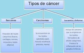 Resultado de imagen para tipos de cancer