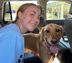 Slinky's Adoption and New Home