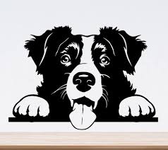 Cute Border Collie Svg Peeking Dog Svg File For Cricut Face Etsy Dog Silhouette Cute Borders Dog Art