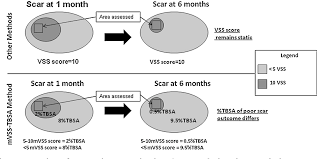 Total body surface area including third degree burn area. Figure 1 From A Modified Vancouver Scar Scale Linked With Tbsa Mvss Tbsa Inter Rater Reliability Of An Innovative Burn Scar Assessment Method Semantic Scholar