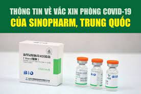 Sinopham, trong các cuộc thử nghiệm, không cung cấp chi tiết về số lượng ca bệnh, tác dụng phụ hay bao nhiêu người đã được tiêm vắc xin. Infographic Thong Tin Vá» Váº¯c Xin Phong Covid 19 Cá»§a Sinopharm Trung Quá»'c
