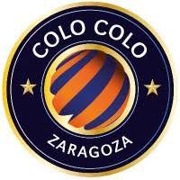 A south american wild cat , of the size of the ocelot. Resultados Del Colo Colo Zaragoza Sala