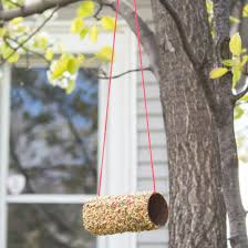 To start making your easy bird fidder you will start by punching two holes on the top of the toilet paper roll. How To Make A Toilet Paper Roll Bird Feeder