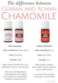 Do You Know The Difference Between Roman And German Chamomile Oils Roman Chamomile Essential Oil Chamomile Essential Oil German Chamomile Essential Oil