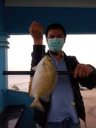 Profile for Hendi Susanto