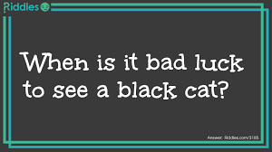 Bad Black Cat Luck Riddles Com
