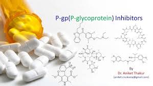 Image result for P-Glycoprotein