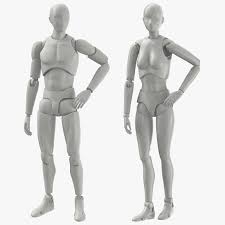 3d Male Female Mannequins Rigged Model Turbosquid 1244800 Model Female Male