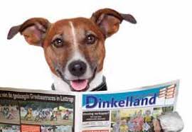 Dinkelland Visie WK 2-2023 by ====