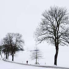 Wann gibt es endlich eine. Weisse Pracht Fast Uberall In Nrw Ist Schnee Gefallen Der Bleibt Aber Wohl Nicht Lange Nrw