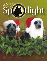 Desk or dining table / 28. Winter Acdspotlight By Debcasey Issuu