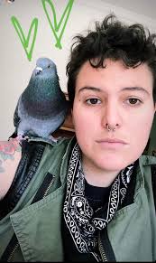 King pigeon passes away after rescue efforts