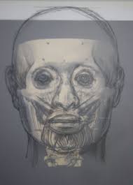 2D & 3D Facial Reconstructions