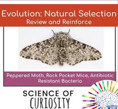 Biology Review Activity Evolution By Natural Selection Biology Review Review Activities Biology