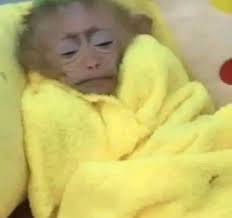 When your mom is giving you shit " Look at you having the shakes Drink  Again!! "