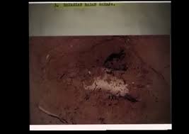 Facebook gives people the power to share and makes the world. Gambar Anak Mona Fendi