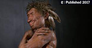 Equally informative is the neanderthal body itself. Neanderthals Were People Too The New York Times
