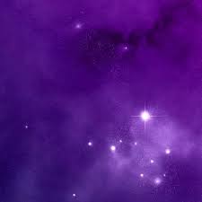 Madison Rapchak (@MRapchak)