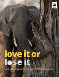 We're determined to ensure that people and nature can thrive together, for generations to come. Wwf National Branding Campaign Marks 2021 As The Year To Sho