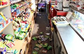 Результат пошуку зображень за запитом "пьяные еноты"